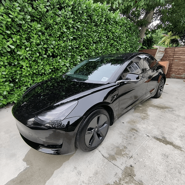 Tesla Model 3 after basic wash