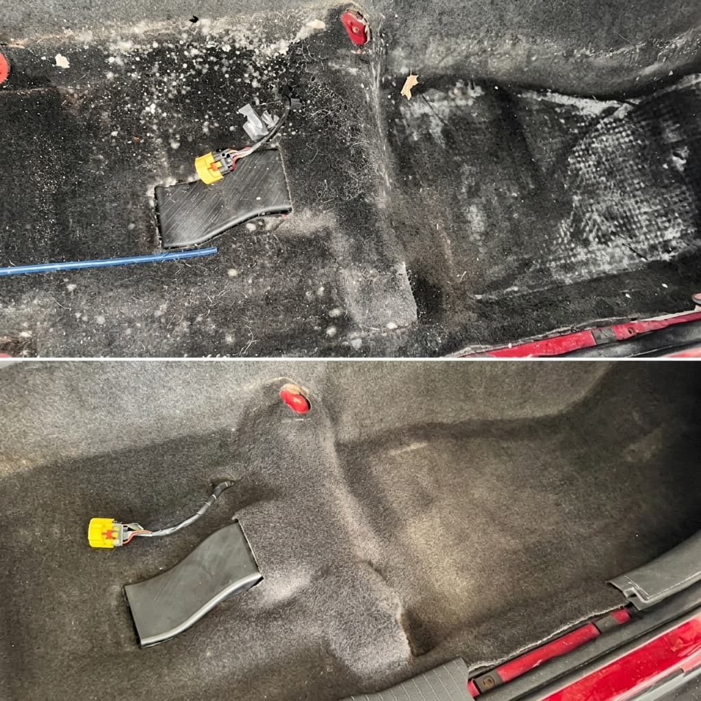 Trunk carpet mold before and after: full removal and clean